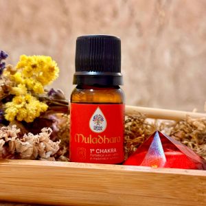 1° CHAKRA – RAIZ (MULADHARA) - ÓLEO ESSENCIAL DE CEDRO