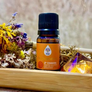 2° CHAKRA UMBILICAL (SVADHISTHANA) – ÓLEO ESSENCIAL DE CANELA